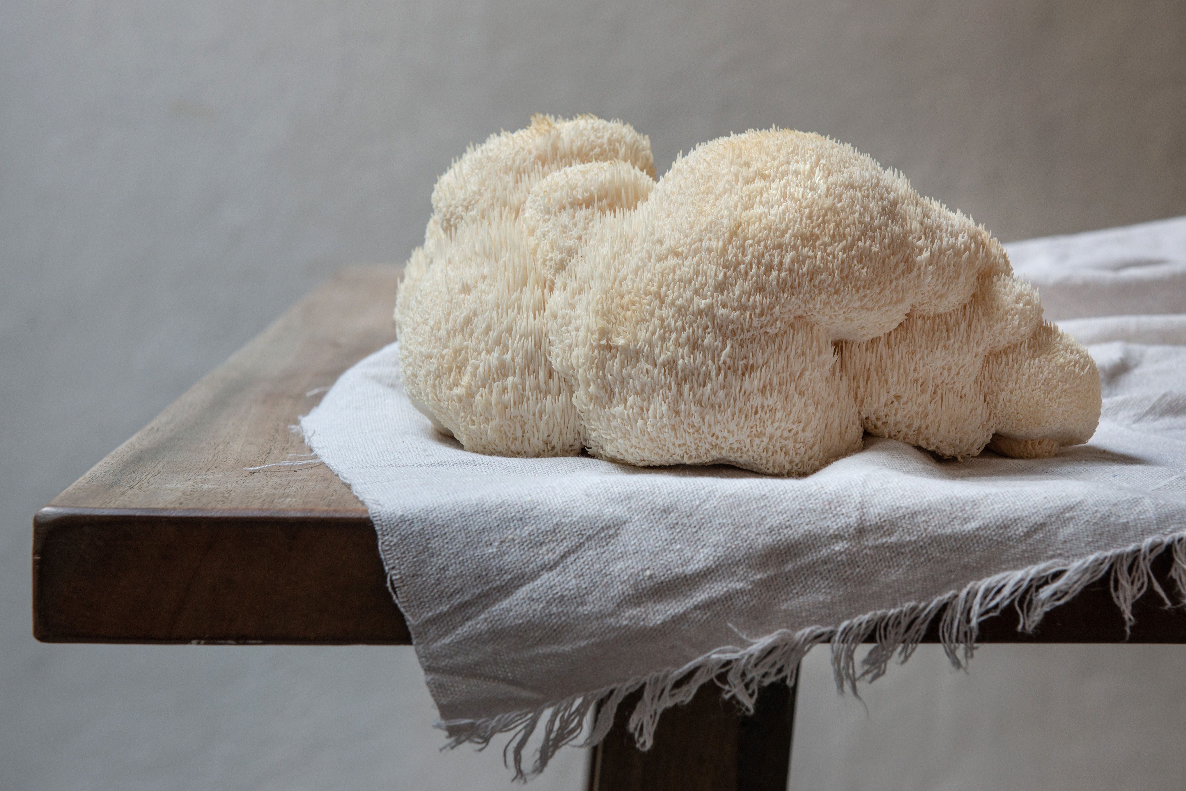 The Amazing Benefits of Lion's Mane: Nature’s Brain Booster